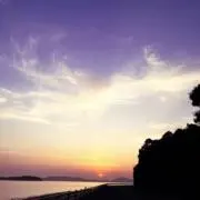 ♻︎ゆら♻︎の画像
