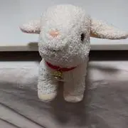 ユキちゃんの画像