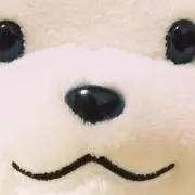 新