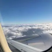 しずの画像