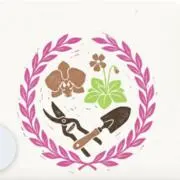 しずくらんの画像