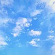 pon.の画像