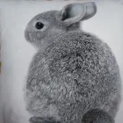 ☆ゆーひ☆