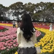 ぷーちゃの画像