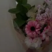 るなの画像