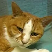 柿ピーの画像