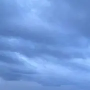 みるくの画像