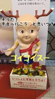 ウリサコの画像
