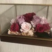 ヒカリ