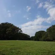 やすゆきまるそー