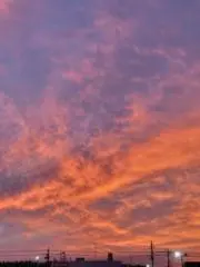 ☆☆M ☆☆の画像