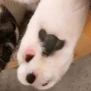 なの画像