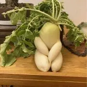 はなっころの画像