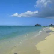 KSの画像