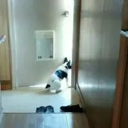 たまちゃん