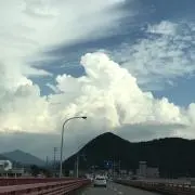 muzzyの画像