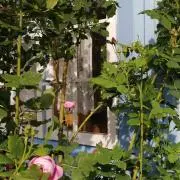 シミミッピ(無言取引可)の画像