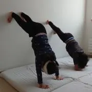 S&Yの画像