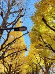 サンの画像
