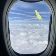 高菜明太ブラマヨ※値下げ対応可