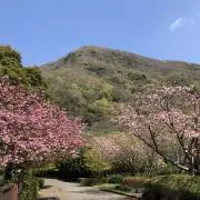 norishimoの画像