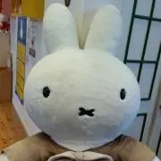 みー