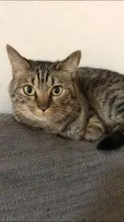 さち
