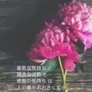 はるはるの画像