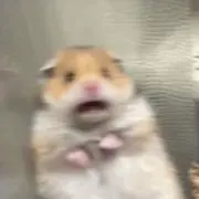 ♡の画像