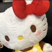 taの画像