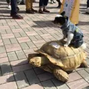 みかの画像