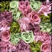 aaa.shop【断捨離中】の画像