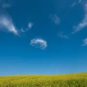 青空★の画像