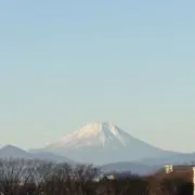 ペンタの画像