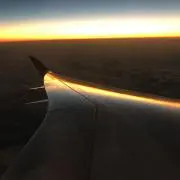相撲の画像