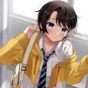 ホロライブ 白銀ノエル 新衣装&活動 6周年記念グッズ 抱き枕カバー