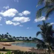 mahalo♫の画像