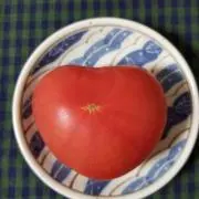 ピロミ♪の画像