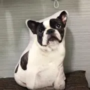 ヒゲとnaiの画像