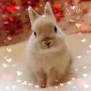 かんちゃんず