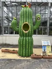 わに