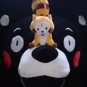 ぎんさん