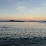 ナナの画像
