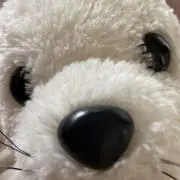 めめの画像