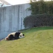 ぱんの画像