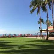 かず