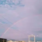 みみの画像