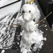 ぽむの画像