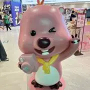 12の画像
