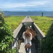 なるの画像